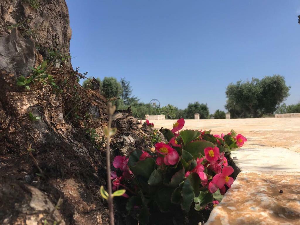 أوستوني Trulli Da Lalli المظهر الخارجي الصورة
