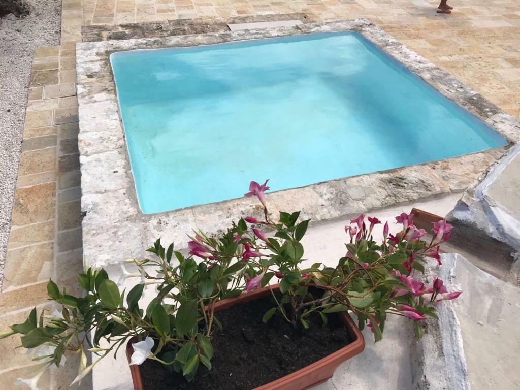 أوستوني Trulli Da Lalli المظهر الخارجي الصورة